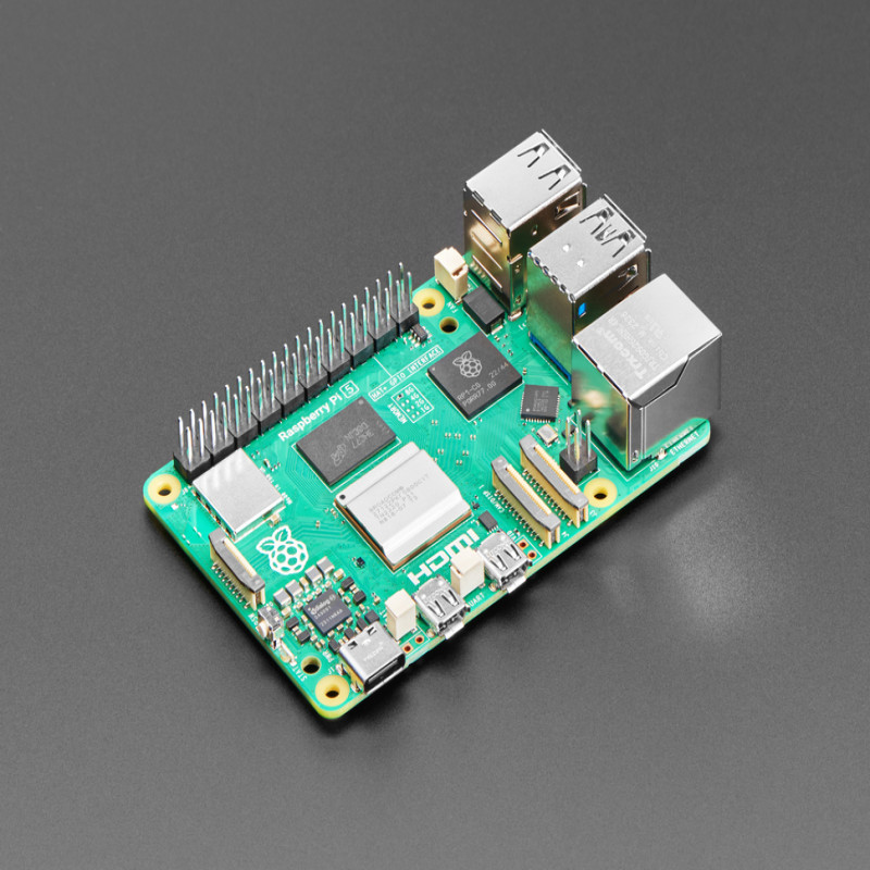 Raspberry Pi 5 - 4 GB RAM